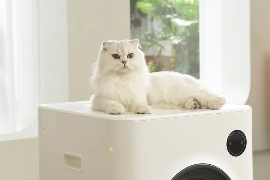 self-cleaning cat litter boxes